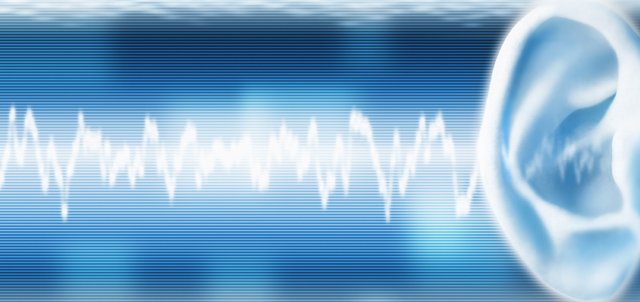 K.B.O lance une étude acoustique pour améliorer le confort des cabines